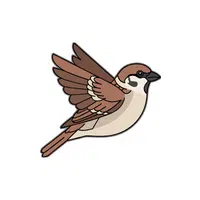 Sparrow | Songbirds Names