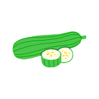 Spongegourd | Seed Vegetables Names