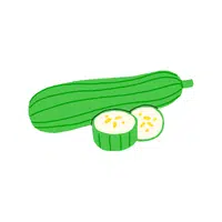 Spongegourd | Seed Vegetables Names