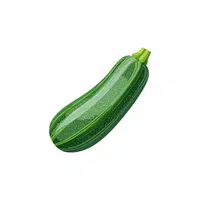 Squash | Seasonal Vegetables Names