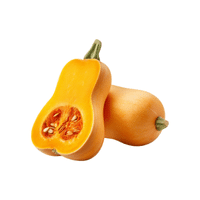 Squashseed | Seed Vegetables Names