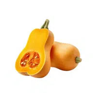 Squashseed | Seed Vegetables Names