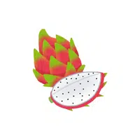 Starfruit | Fruit Plants Names