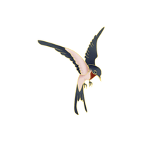 Starling | Migratory Birds Names