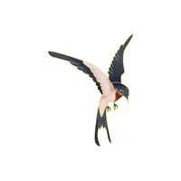 Starling | Migratory Birds Names