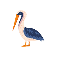 Stilt | Migratory Birds Names
