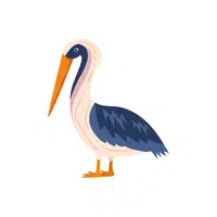 Stilt | Migratory Birds Names
