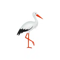 Stork | Migratory Birds Names