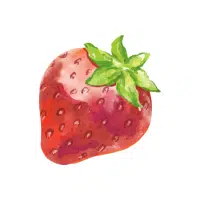 Strawberry | Mountain Fruits Names