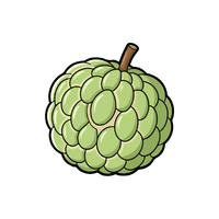 Sugar Apple | Fruit Plants Names