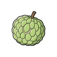 Sugar Apple | Fruit Plants Names