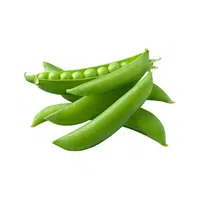 Sugar | Seed Vegetables Names