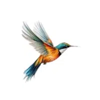 Sunbird | Songbirds Names