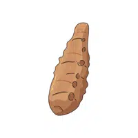 Sunchoke | Root Vegetables Names
