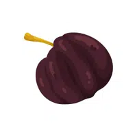 Surinamcherry | Coastal Fruits Names