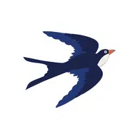 Swallow | Songbirds Names
