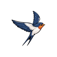 Swallow | Migratory Birds Names
