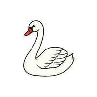 Swan | Arctic Birds Names
