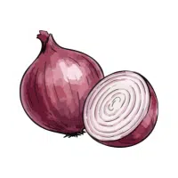 Sweet | Bulb Vegetables Names