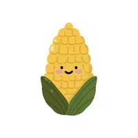 Sweetcorn | Seasonal Vegetables Names