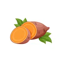 Sweetpotato | Seasonal Vegetables Names