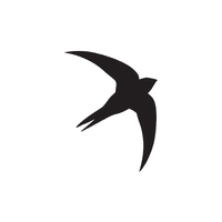 Swift | Migratory Birds Names