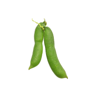 Sword | Pod Vegetables Names