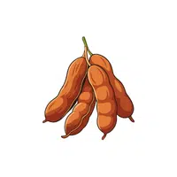 Tamarind | Fruit Plants Names