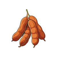 Tamarind | Spring Fruits Names