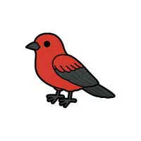 Tanager | Songbirds Names