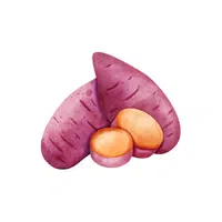 Taro | Seasonal Vegetables Names