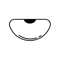 Teparybean | Pod Vegetables Names