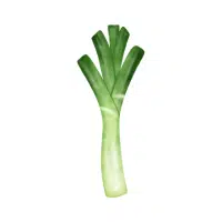 Threecorner | Bulb Vegetables Names