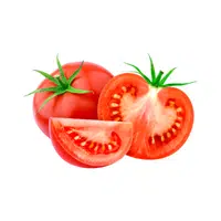 Tomato | Seed Vegetables Names