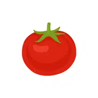 Tomato | Seasonal Vegetables Names