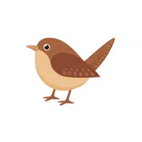 Tree Sparrow | Songbirds Names