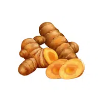 Turmeric | Root Vegetables Names