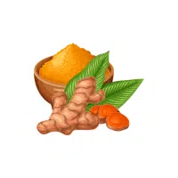 Turmeric | Rhizome Vegetables Names
