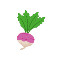 Turnip | White Vegetables Names