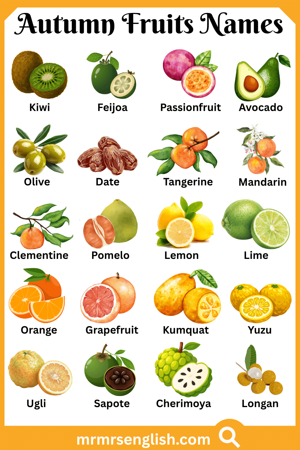 Types of Autumn Fruits Names with Pictures