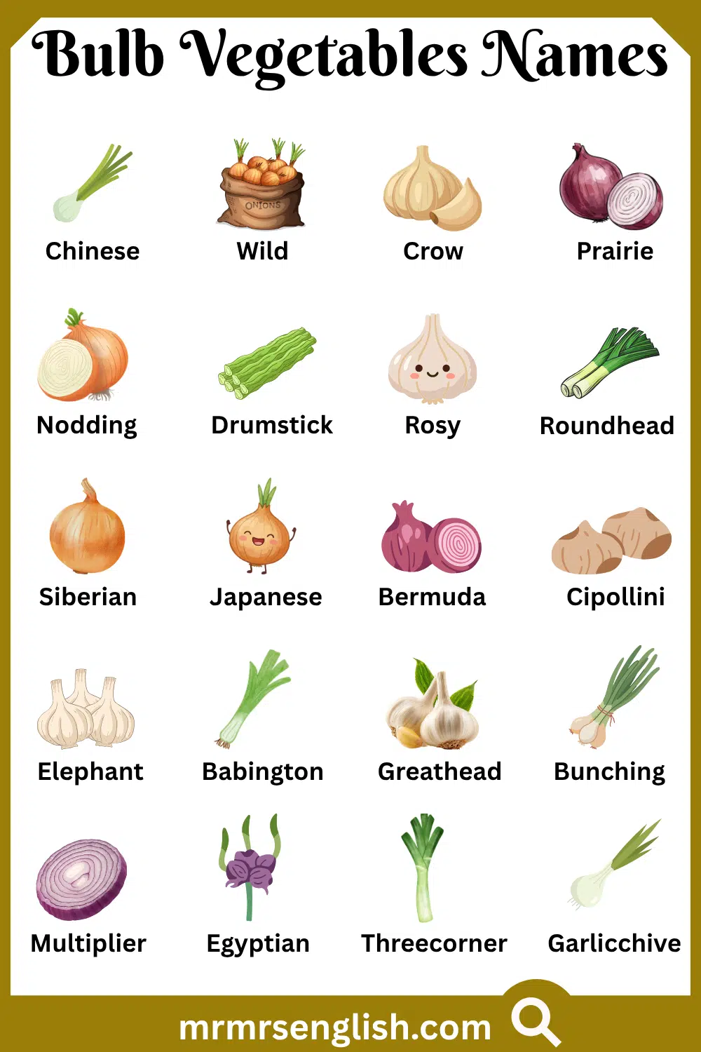 Types of Bulb Vegetables Names with Pictures