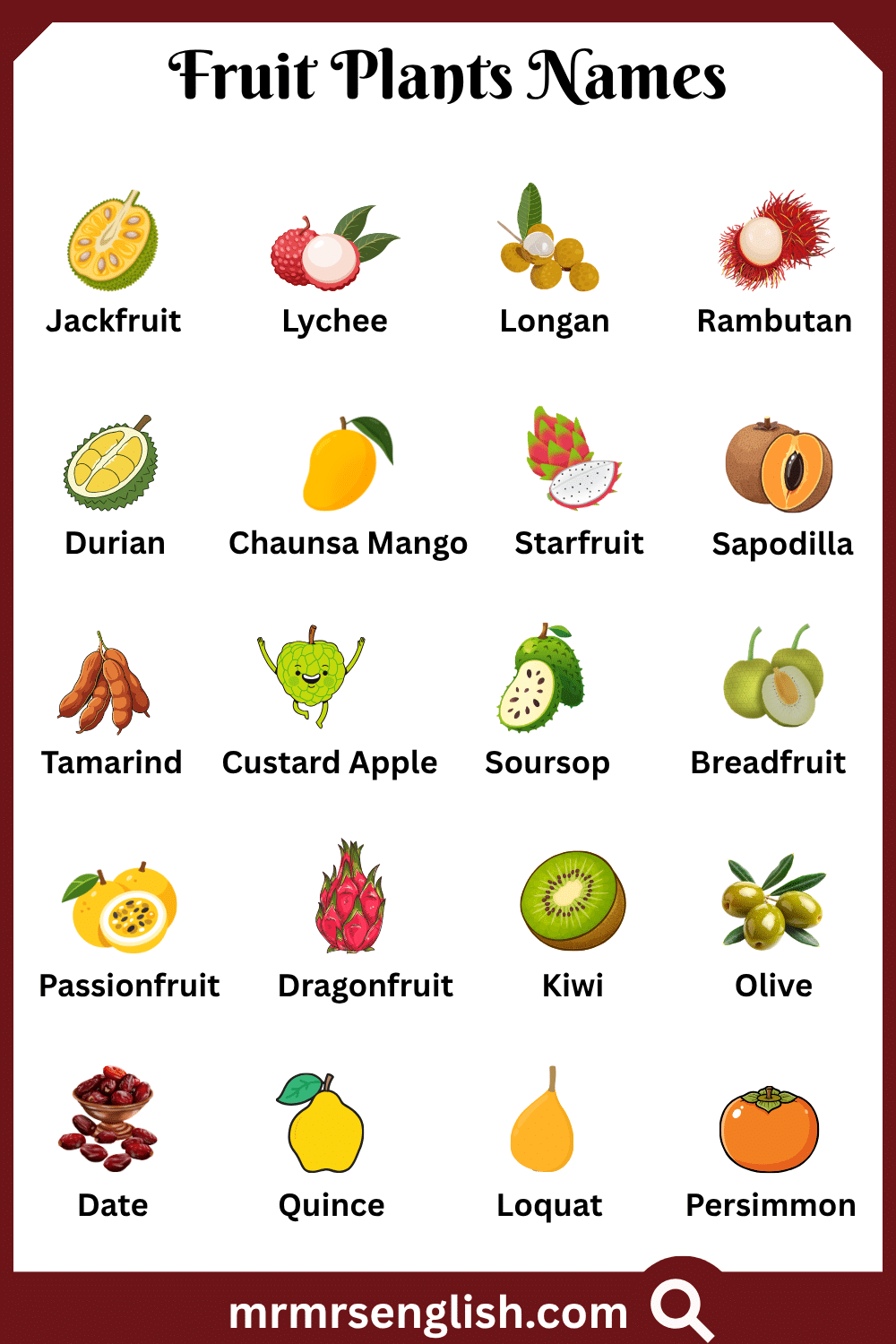 Types of Fruit Plants Names with Pictures