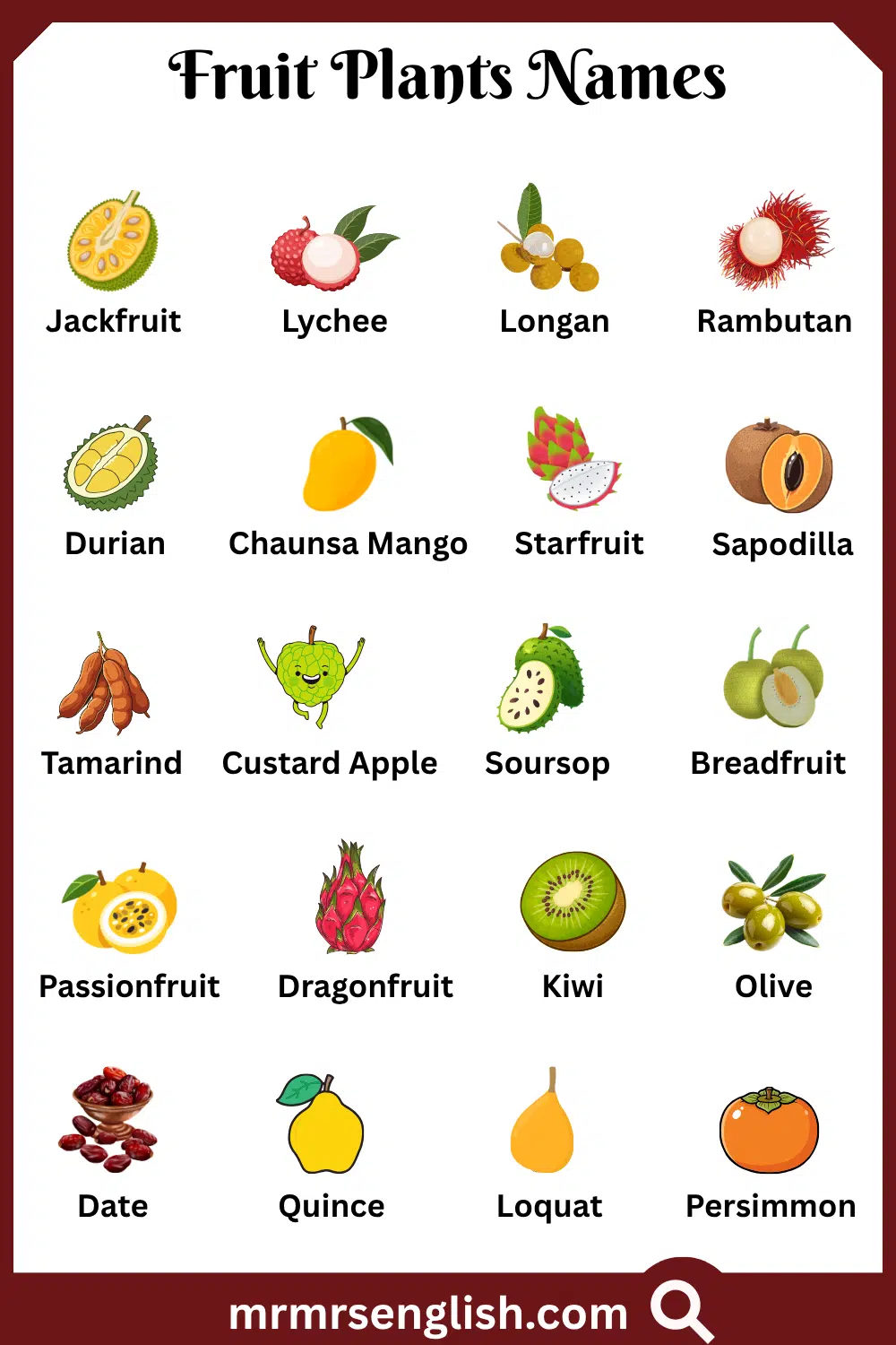 Types of Fruit Plants Names with Pictures