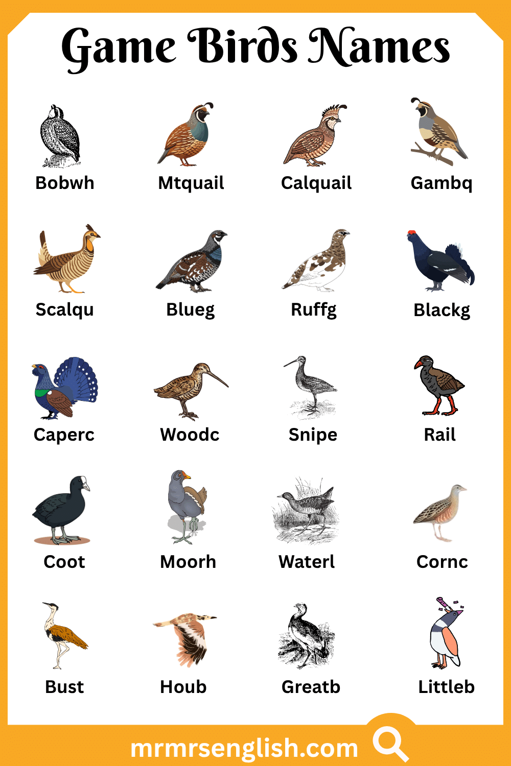 Types of Game Birds Names with Pictures
