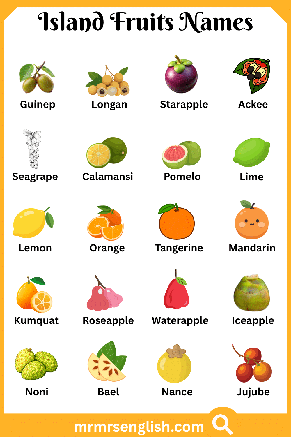 Types of Island Fruits Names with Pictures
