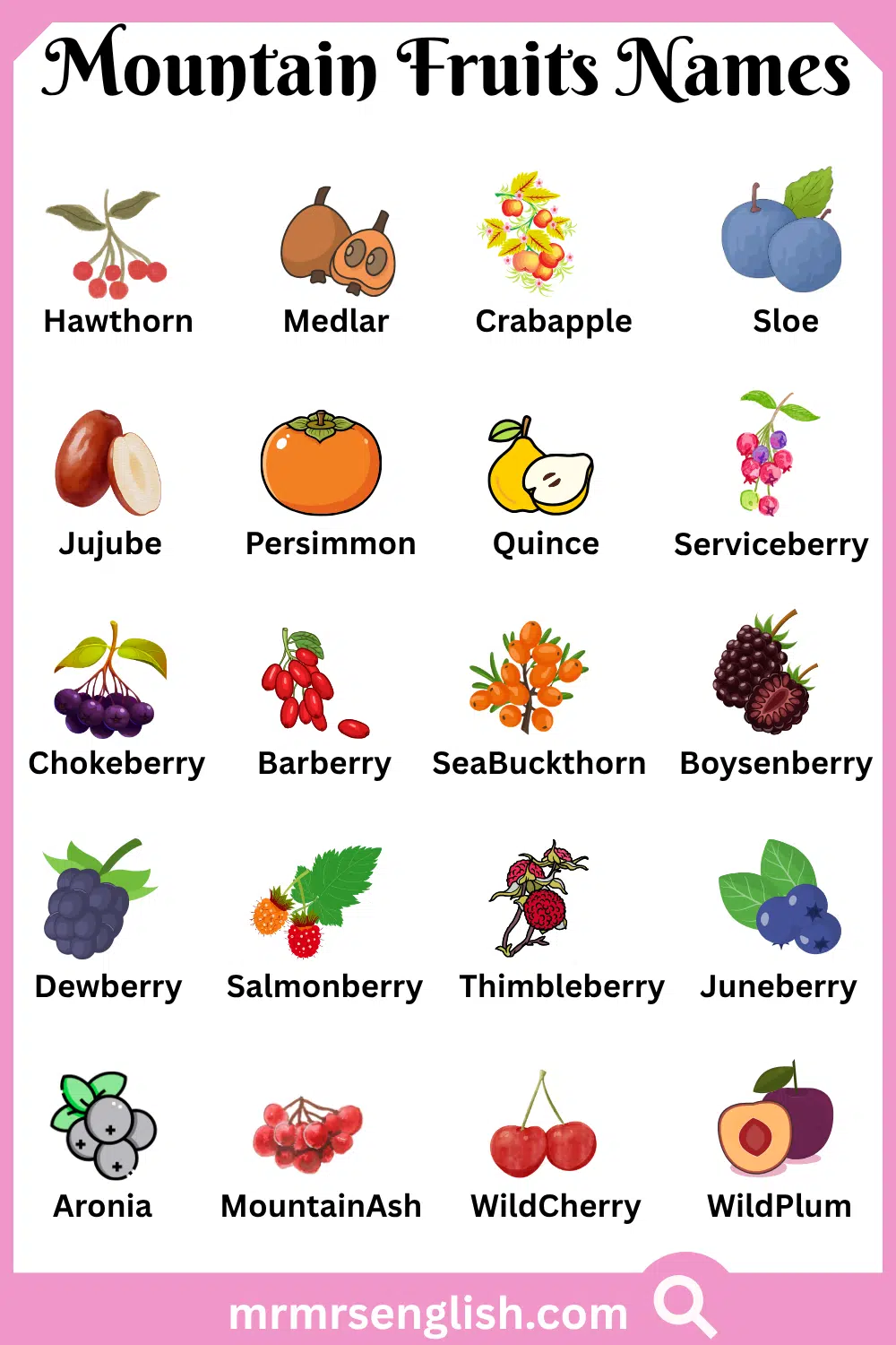 Types of Mountain Fruits Names with Pictures