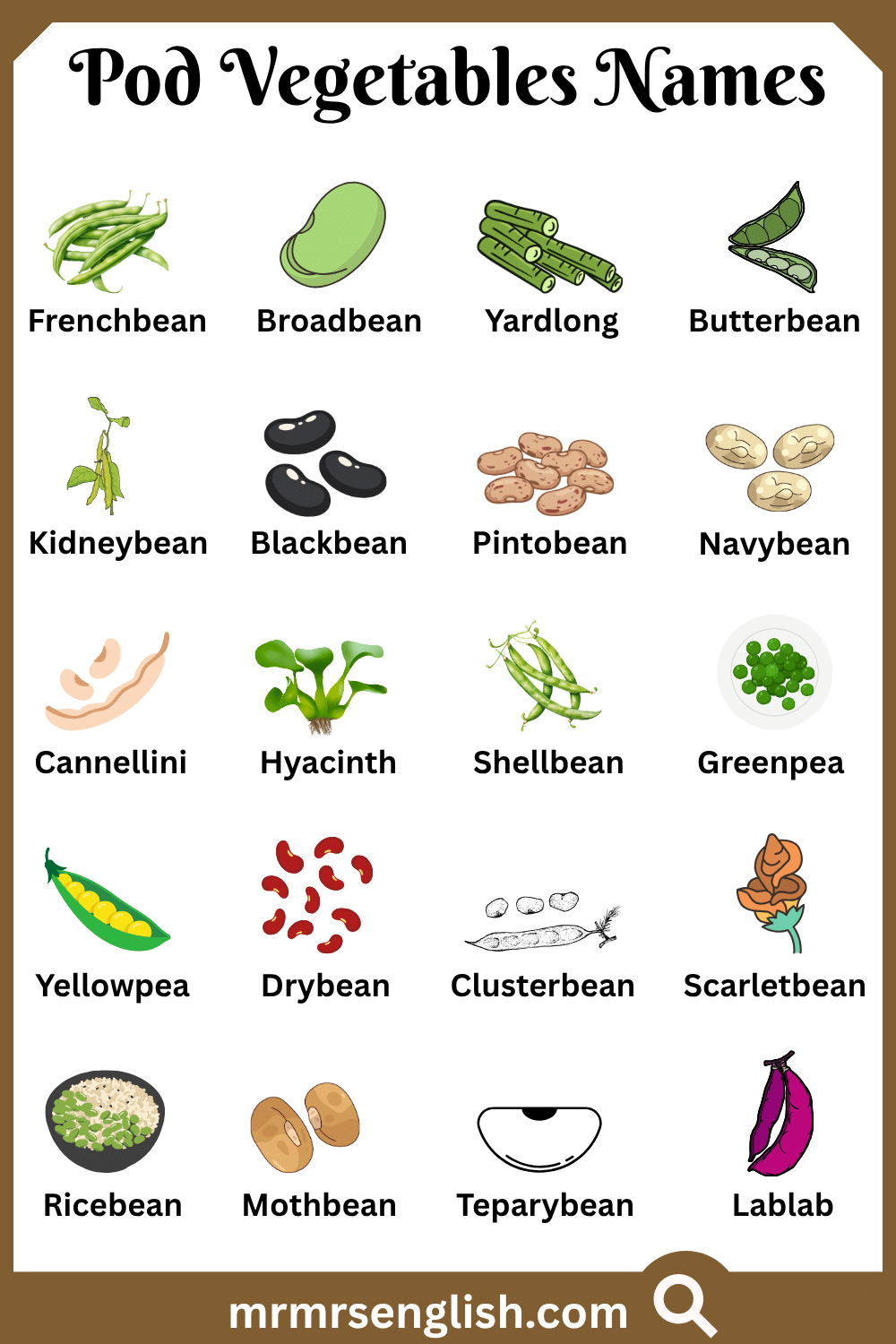 Types of Pod Vegetables Names with Pictures