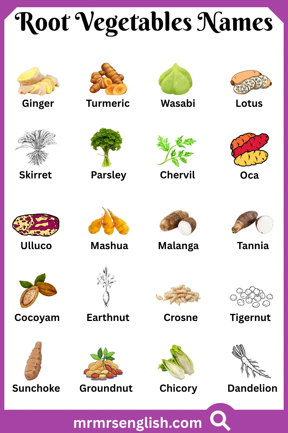 Types of Root Vegetables Names with Pictures