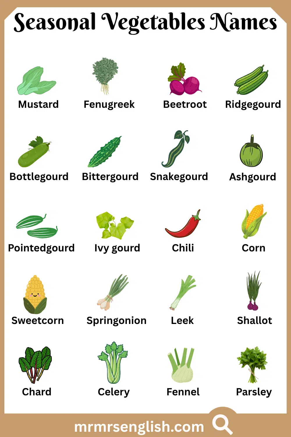 Types of Seasonal Vegetables Names with Pictures