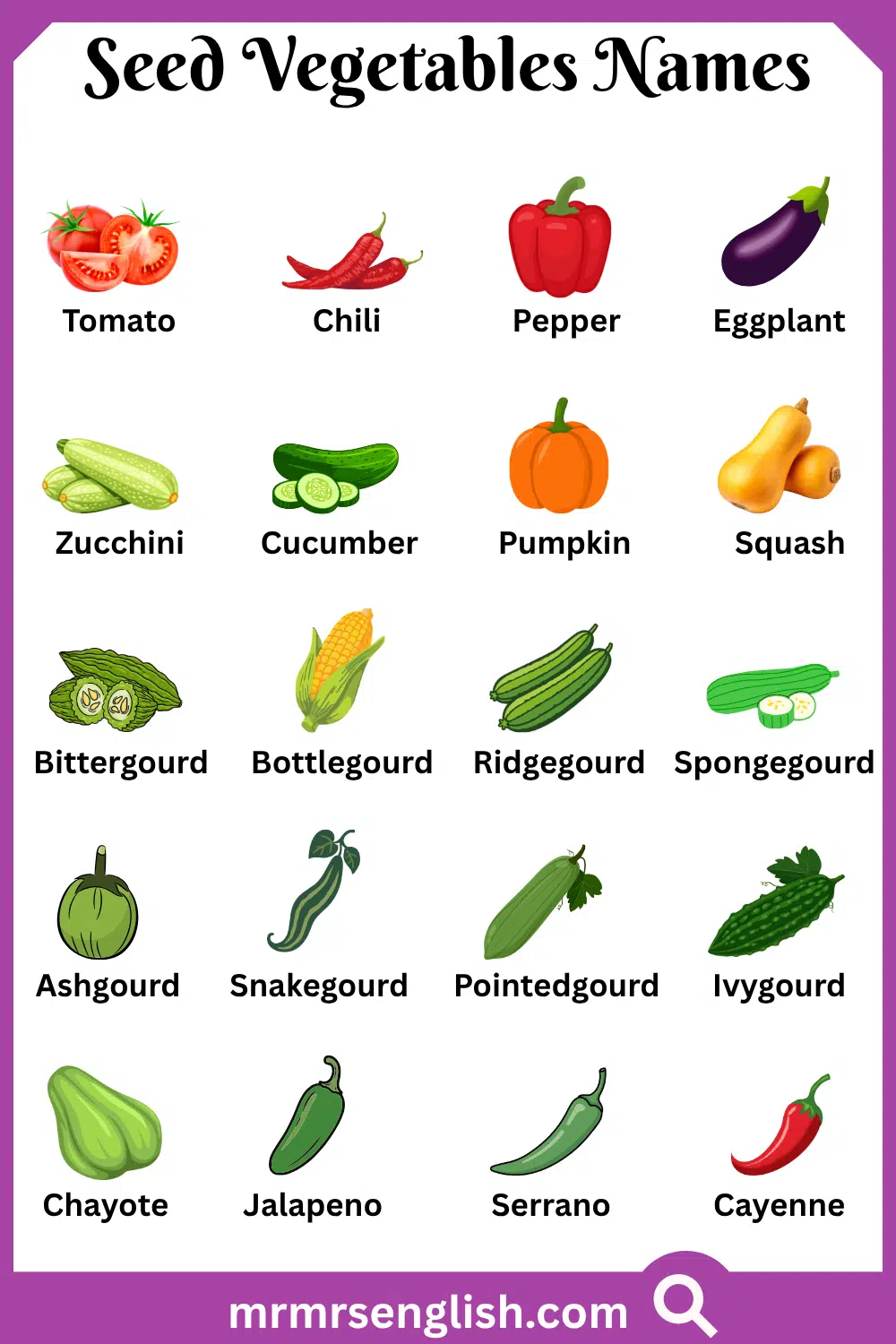 Types of Seed Vegetables Names with Pictures